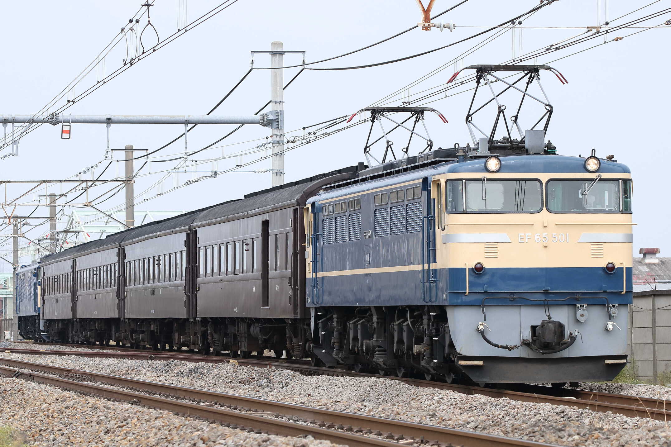 回9950列車 団臨(東446) 送り込み回送 EF65-501[高]+旧客4車(高タカ)+EF64-37[高]