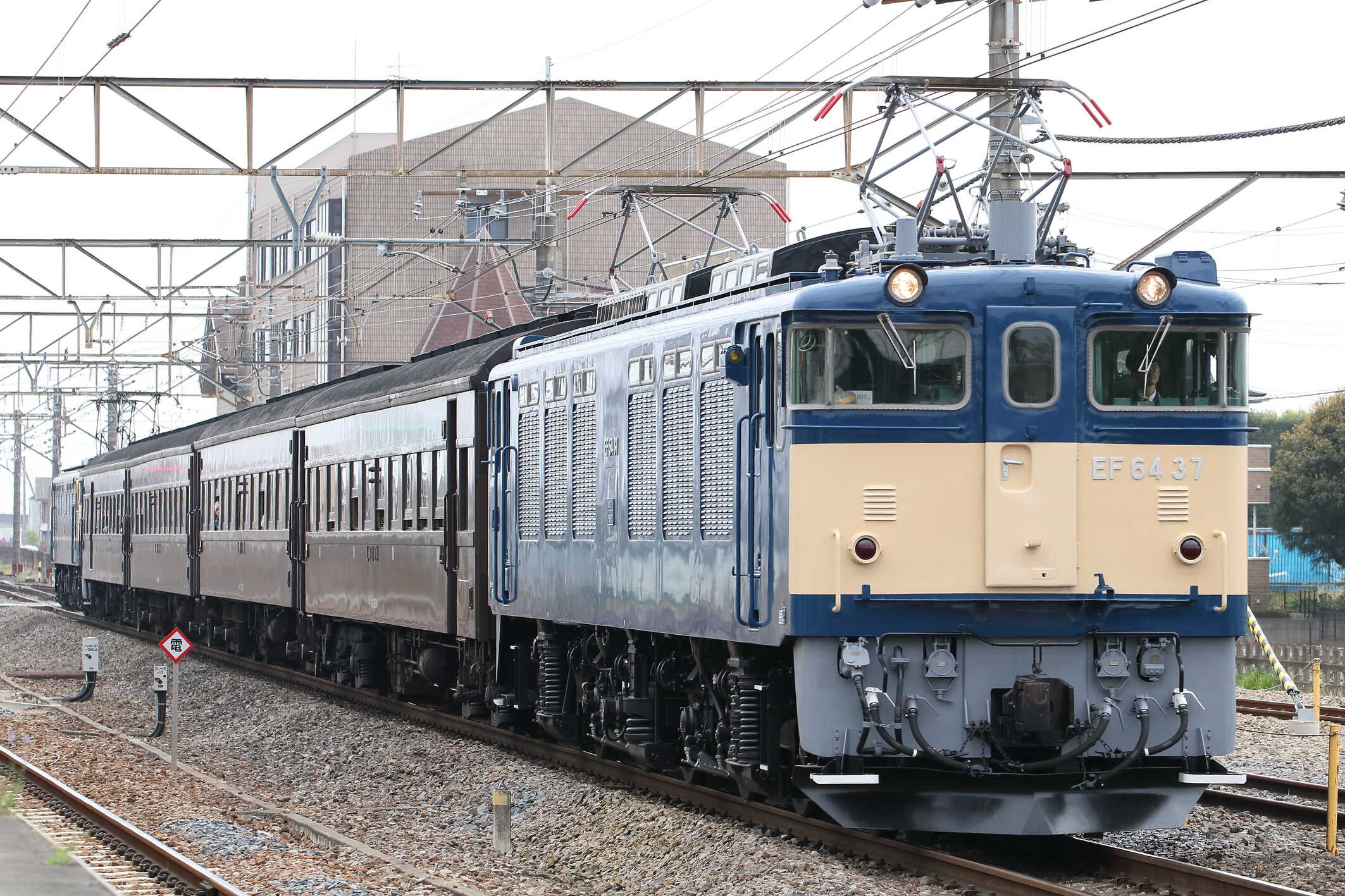 9851列車 団臨(東446) EF64-37[高]+旧客4車(高タカ)+EF65-501[高]