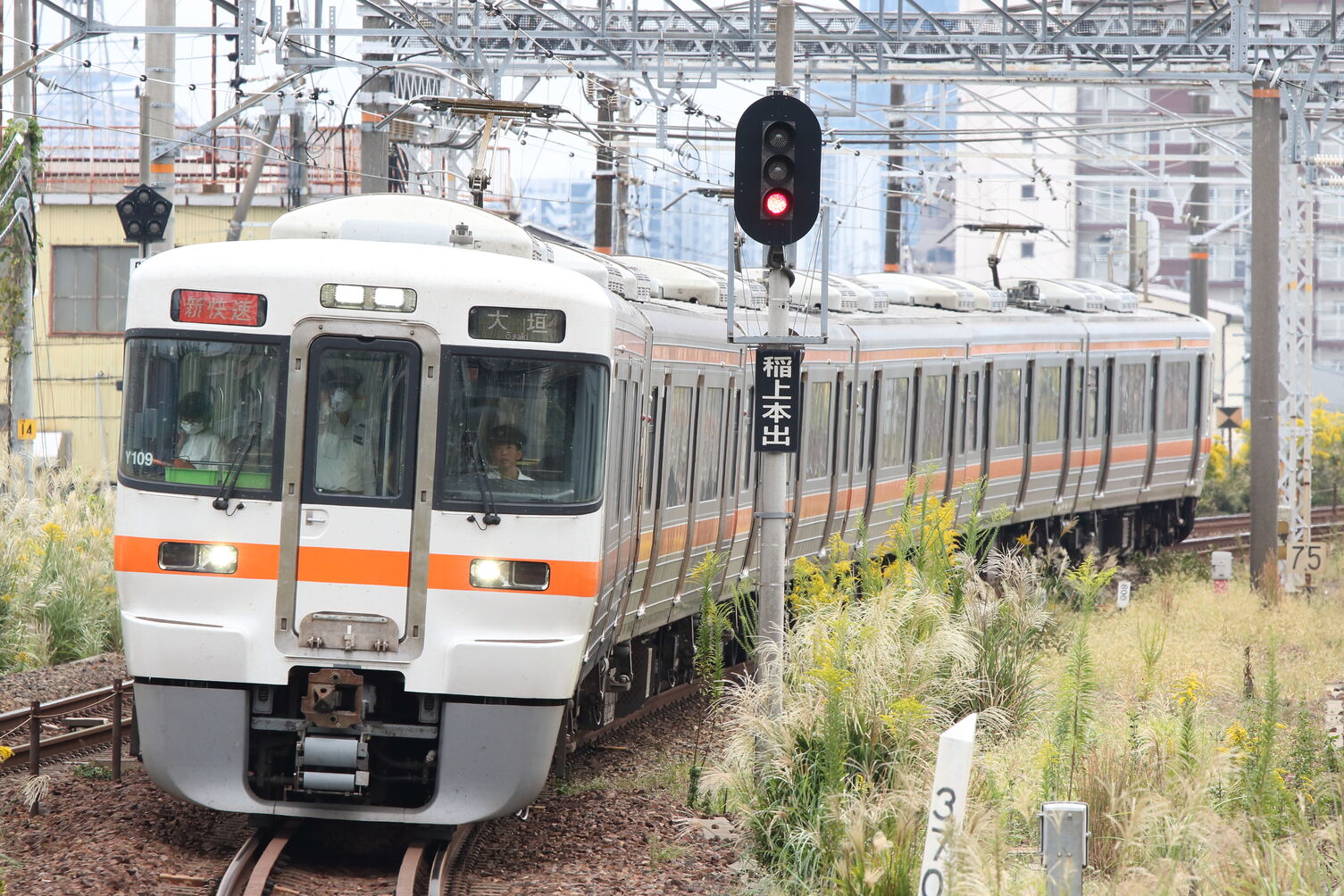 2511F 313系 海カキY109編成