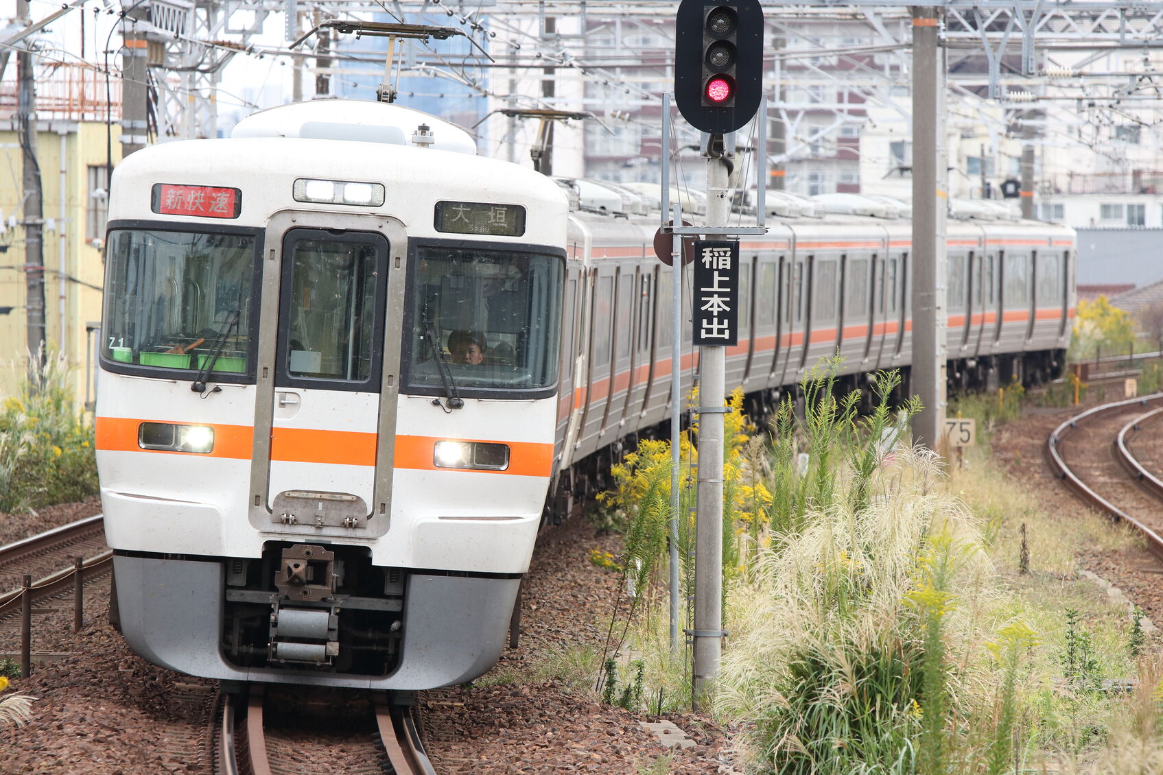 2513F 313系 海カキZ1編成+313系 海カキY113編成