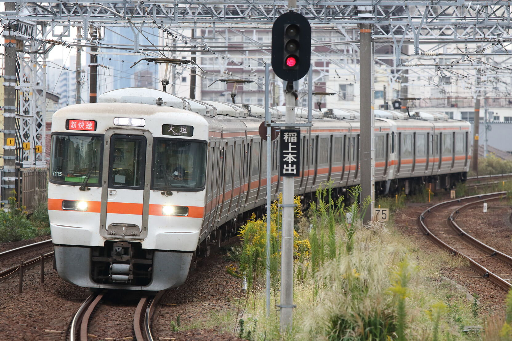 2323F 313系 海カキY115編成+313系 海カキZ3編成